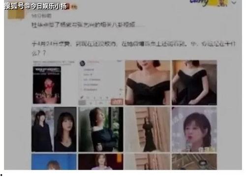 吃瓜爆料恋情视频大全集,恋情视频大全集精彩回顾